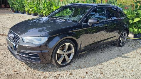 Audi A3 8V  (24KM) - 37 900  PLN, 2016 - PLESZEW - wyprzedaż | Autoria.pl