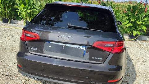 Audi A3 8V  (24KM) - 37 900  PLN, 2016 - PLESZEW - wyprzedaż | Autoria.pl