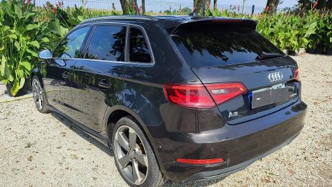 Audi A3 8V  (24KM) - 37 900  PLN, 2016 - PLESZEW - wyprzedaż | Autoria.pl