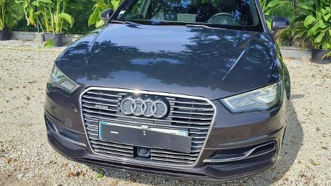 Audi A3 8V  (24KM) - 37 900  PLN, 2016 - PLESZEW - wyprzedaż | Autoria.pl