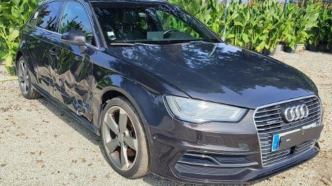 Audi A3 8V  (24KM) - 37 900  PLN, 2016 - PLESZEW - wyprzedaż | Autoria.pl