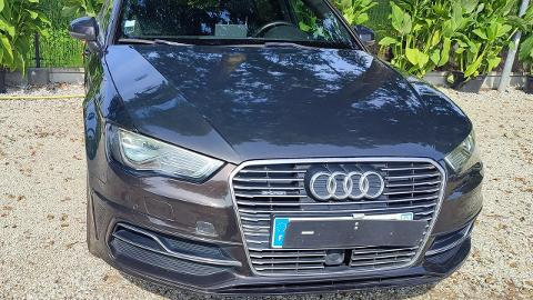 Audi A3 8V  (24KM) - 37 900  PLN, 2016 - PLESZEW - wyprzedaż | Autoria.pl