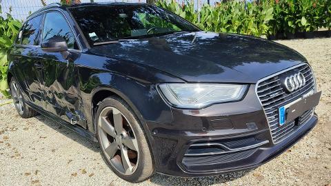 Audi A3 8V  (24KM) - 37 900  PLN, 2016 - PLESZEW - wyprzedaż | Autoria.pl