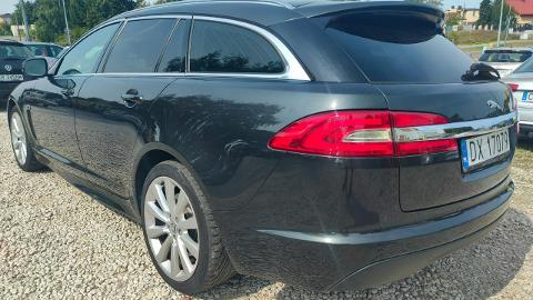 Jaguar XF X250  (200KM) - 39 999  PLN, 2014 - Bydgoszcz - wyprzedaż | Autoria.pl