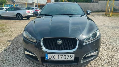 Jaguar XF X250  (200KM) - 39 999  PLN, 2014 - Bydgoszcz - wyprzedaż | Autoria.pl