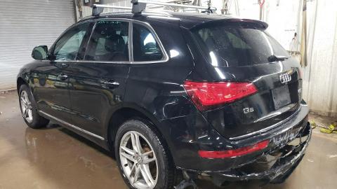 Audi Q5 8R  (220KM) - 41 400  PLN, 2016 - Sękocin Nowy - wyprzedaż | Autoria.pl