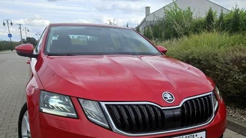 Škoda Octavia III  (190KM) - 74 990  PLN, 2019 - Śrem - wyprzedaż | Autoria.pl