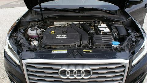 Audi Q2 (150KM) - 89 900  PLN, 2019 - Ostrów Wielkopolski - wyprzedaż | Autoria.pl