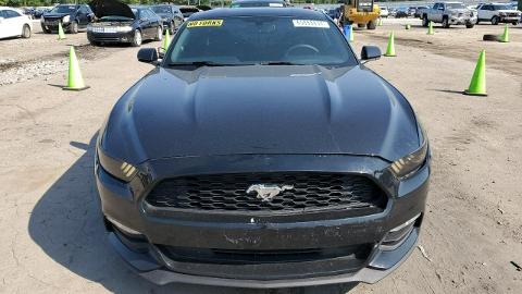 Ford Mustang VI  (300KM) - 39 100  PLN, 2016 - Sękocin Nowy - wyprzedaż | Autoria.pl