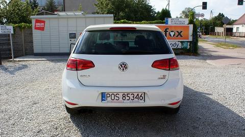 Volkswagen Golf VII  (140KM) - 34 700  PLN, 2013 - Ostrów Wielkopolski - wyprzedaż | Autoria.pl