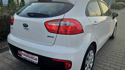 Kia Rio III  (84KM) - 27 990  PLN, 2016 - Śrem - wyprzedaż | Autoria.pl