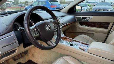 Jaguar XF X250  (207KM) - 29 900  PLN, 2008 - MICHAŁOWICE - wyprzedaż | Autoria.pl