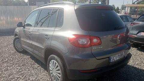 Volkswagen Tiguan I  (140KM) - 38 900  PLN, 2009 - Pogwizdów - wyprzedaż | Autoria.pl