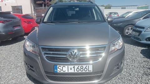 Volkswagen Tiguan I  (140KM) - 38 900  PLN, 2009 - Pogwizdów - wyprzedaż | Autoria.pl