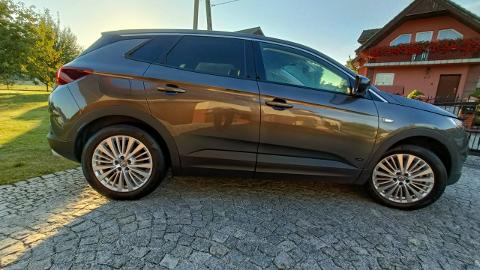 Opel Grandland X (225KM) - 73 100  PLN, 2020 - Rybnik - wyprzedaż | Autoria.pl