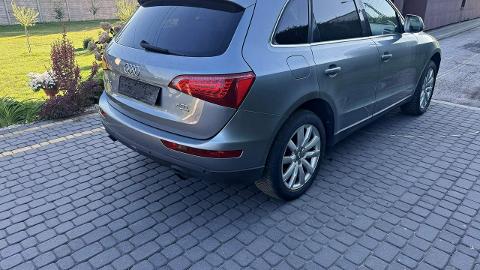 Audi Q5 8R  (211KM) - 39 800  PLN, 2008 - Bliżyn - wyprzedaż | Autoria.pl