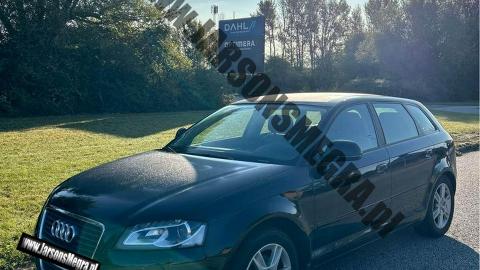 Audi A3 8P  (105KM) - 26 500  PLN, 2009 - Kiczyce - wyprzedaż | Autoria.pl