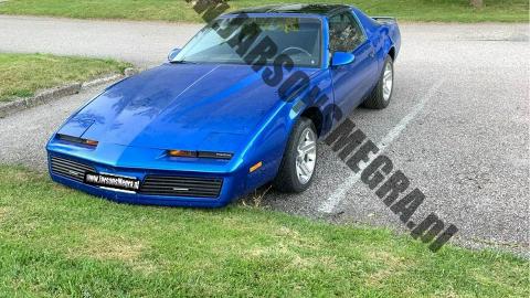 Pontiac Trans Am III  (238KM) - 26 550  PLN, 1982 - Kiczyce - wyprzedaż | Autoria.pl