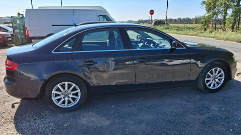 Audi A4 B8  (204KM) - 34 900  PLN, 2012 - PLESZEW - wyprzedaż | Autoria.pl