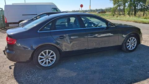 Audi A4 B8  (204KM) - 34 900  PLN, 2012 - PLESZEW - wyprzedaż | Autoria.pl