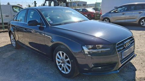 Audi A4 B8  (204KM) - 34 900  PLN, 2012 - PLESZEW - wyprzedaż | Autoria.pl