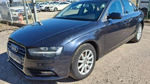 Audi A4 B8  (204KM) - 34 900  PLN, 2012 - PLESZEW - wyprzedaż | Autoria.pl