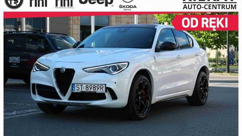 Alfa Romeo Stelvio (510KM) -  276 900  PLN, 2019 - TYCHY - wyprzedaż | Autoria.pl