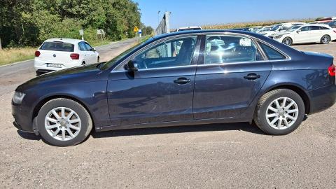 Audi A4 B8  (204KM) - 34 900  PLN, 2012 - PLESZEW - wyprzedaż | Autoria.pl