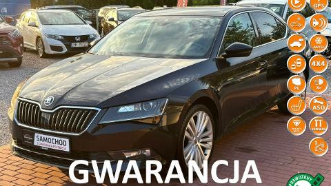 Škoda Superb III  (190KM) - 84 800  PLN, 2017 - SADE BUDY - wyprzedaż | Autoria.pl