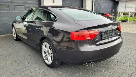 Audi A5 8T  (150KM) - 62 900  PLN, 2013 - Żabno - wyprzedaż | Autoria.pl