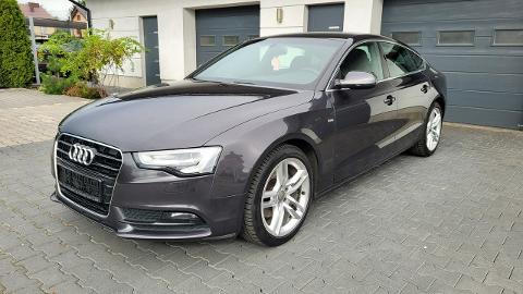 Audi A5 8T  (150KM) - 62 900  PLN, 2013 - Żabno - wyprzedaż | Autoria.pl