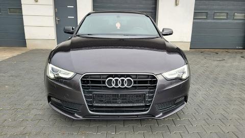 Audi A5 8T  (150KM) - 62 900  PLN, 2013 - Żabno - wyprzedaż | Autoria.pl