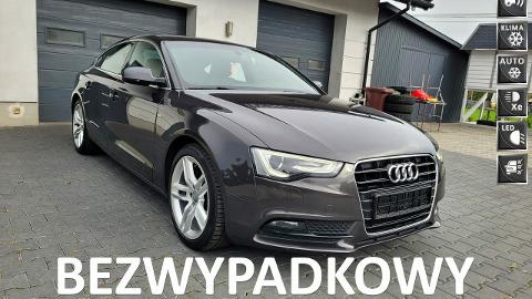 Audi A5 8T  (150KM) - 62 900  PLN, 2013 - Żabno - wyprzedaż | Autoria.pl