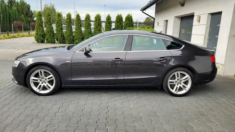 Audi A5 8T  (150KM) - 62 900  PLN, 2013 - Żabno - wyprzedaż | Autoria.pl