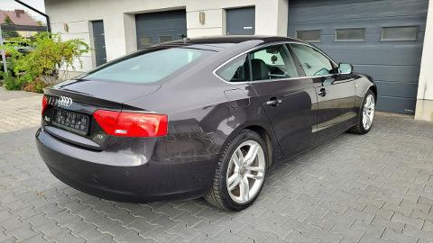 Audi A5 8T  (150KM) - 62 900  PLN, 2013 - Żabno - wyprzedaż | Autoria.pl