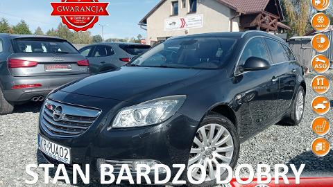 Opel Insignia A  (220KM) - 26 500  PLN, 2010 - Pogwizdów - wyprzedaż | Autoria.pl