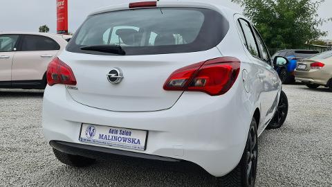 Opel Corsa E  (90KM) - 32 900  PLN, 2016 - Wągrowiec - wyprzedaż | Autoria.pl