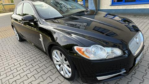 Jaguar XF X250  (241KM) - 26 900  PLN, 2009 - SOKOŁÓW PODLASKI - wyprzedaż | Autoria.pl