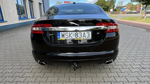 Jaguar XF X250  (241KM) - 26 900  PLN, 2009 - SOKOŁÓW PODLASKI - wyprzedaż | Autoria.pl