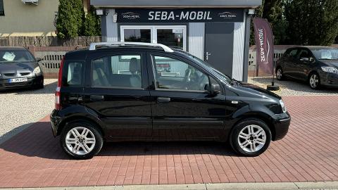 Fiat Panda II  (60KM) - 13 500  PLN, 2007 - SADE BUDY - wyprzedaż | Autoria.pl