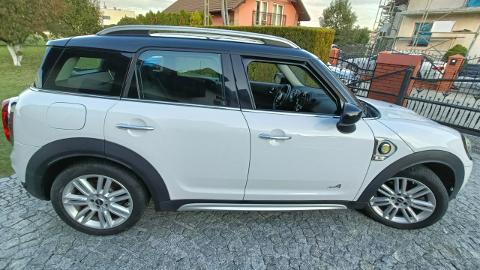 Mini Countryman (225KM) - 81 000  PLN, 2020 - Rybnik - wyprzedaż | Autoria.pl