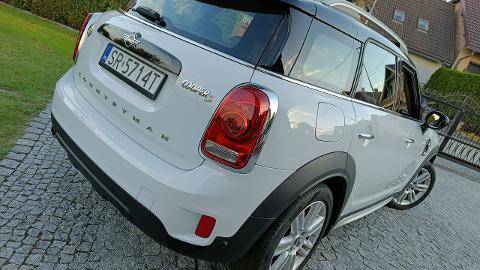 Mini Countryman (225KM) - 81 000  PLN, 2020 - Rybnik - wyprzedaż | Autoria.pl