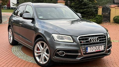 Audi SQ5 8R  (313KM) - 99 900  PLN, 2015 - Widełki - wyprzedaż | Autoria.pl