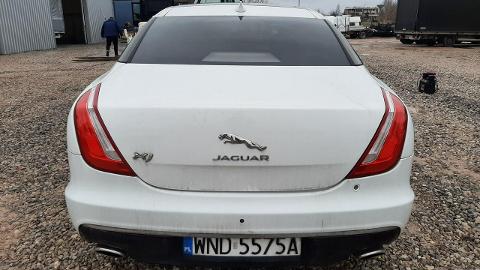 Jaguar XJ X351  (300KM) - 58 300  PLN, 2017 - Komorniki - wyprzedaż | Autoria.pl