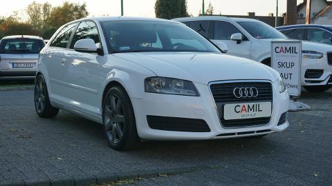 Audi A3 8P  (102KM) - 22 700  PLN, 2008 - Opole - wyprzedaż | Autoria.pl