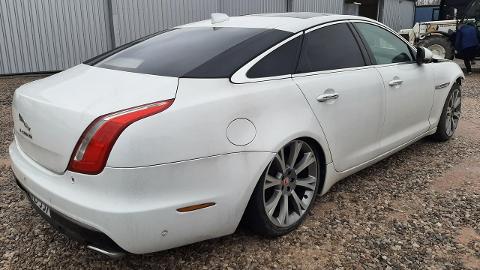 Jaguar XJ X351  (300KM) - 58 300  PLN, 2017 - Komorniki - wyprzedaż | Autoria.pl