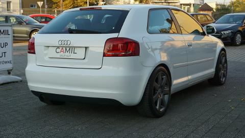 Audi A3 8P  (102KM) - 22 700  PLN, 2008 - Opole - wyprzedaż | Autoria.pl