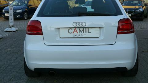 Audi A3 8P  (102KM) - 22 700  PLN, 2008 - Opole - wyprzedaż | Autoria.pl