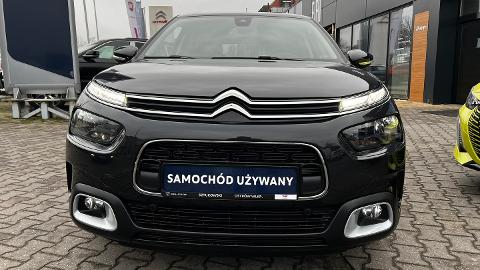 Citroën C4 Cactus 1.2 PureTech Shine (110KM) - 49 900  PLN, 2019 - Ostrów Wielkopolski - wyprzedaż | Autoria.pl