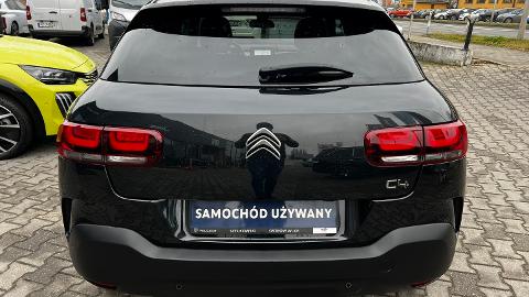 Citroën C4 Cactus 1.2 PureTech Shine (110KM) - 49 900  PLN, 2019 - Ostrów Wielkopolski - wyprzedaż | Autoria.pl